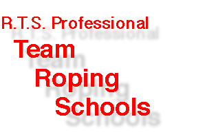 R.T.S. Professional Team Roping Schools