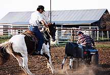 Sled Heeling