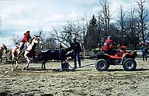 Woman Roping